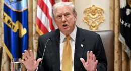 ‘Karoline, could you discuss that question that was asked and how it was asked in such a fake, disgusting manner by the fake news?’ the president requested after getting an inquiry on affordability in the US