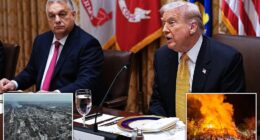 Hungary 's autocratic leader, Viktor Orbán, told President Donald Trump Friday at the White House that it would take a 'miracle' for Ukraine to win the war against Russia. Seated next to Orbán in the Cabinet Room, the president expressed optimism that 'we're going to get that war ended in the not-too-distant future.' Trump's second meeting with Russian President Vladimir Putin was supposed to be held in the Hungarian capital of Budapest, with Orbán hosting, but it got scrapped last month, days after it was announced, as negotiations stalled.