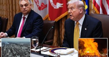 Hungary 's autocratic leader, Viktor Orbán, told President Donald Trump Friday at the White House that it would take a 'miracle' for Ukraine to win the war against Russia. Seated next to Orbán in the Cabinet Room, the president expressed optimism that 'we're going to get that war ended in the not-too-distant future.' Trump's second meeting with Russian President Vladimir Putin was supposed to be held in the Hungarian capital of Budapest, with Orbán hosting, but it got scrapped last month, days after it was announced, as negotiations stalled.