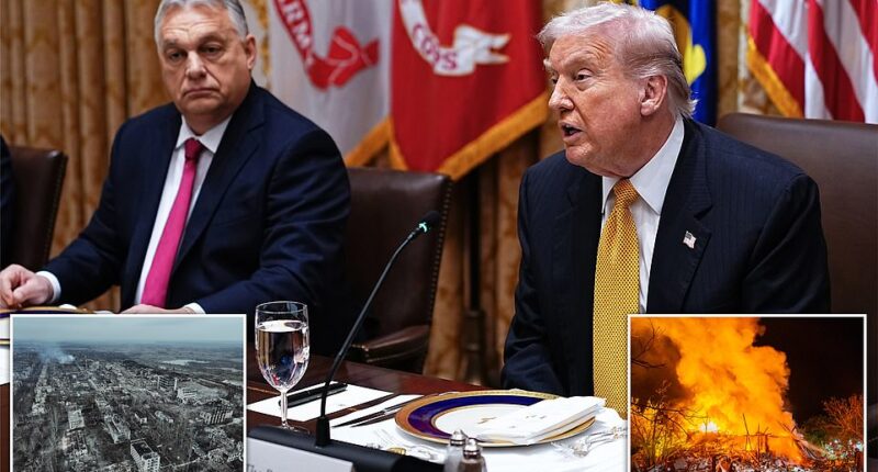 Hungary 's autocratic leader, Viktor Orbán, told President Donald Trump Friday at the White House that it would take a 'miracle' for Ukraine to win the war against Russia. Seated next to Orbán in the Cabinet Room, the president expressed optimism that 'we're going to get that war ended in the not-too-distant future.' Trump's second meeting with Russian President Vladimir Putin was supposed to be held in the Hungarian capital of Budapest, with Orbán hosting, but it got scrapped last month, days after it was announced, as negotiations stalled.