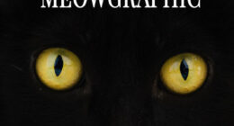 I Created Faux Magazine Covers To Boost Black Cat Adoption