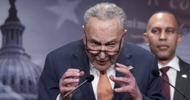 I Will Not Be 'Extorted' By 'Kamikaze Pilot' Chuck Schumer – HotAir