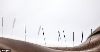 I met the man who can fix your body odour, fertility issues and even get you a girlfriend. He's the master acupuncturist beloved by the A-list... and these are his secrets