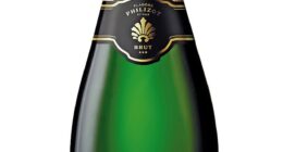 I tried 48 supermarket champagnes. These are the seven best that'll make your party the talk of the town... including the one that tastes like Taittinger for just £13.99