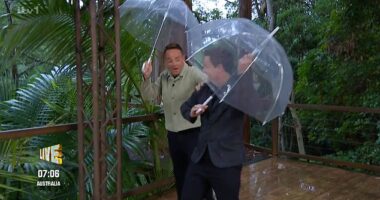 I'm A Celebrity fans were left in hysterics as Ant McPartlin slipped over just minutes into the show on Saturday night