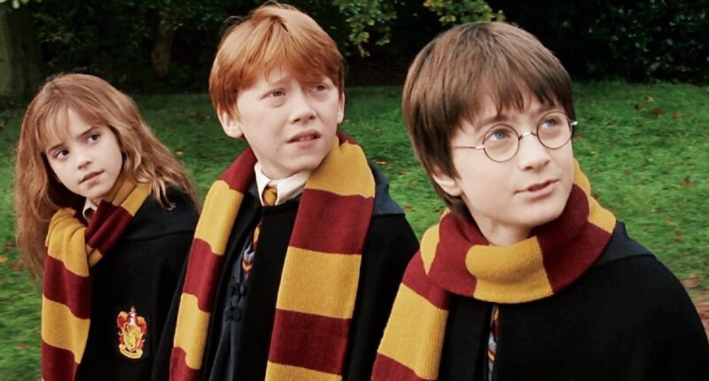 Immersive Harry Potter Experience Is Just The Thing For Those Who Reject The TV Remake