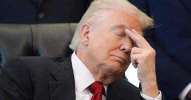 Indiana Republicans Fold Like a Cheap Suit, Defy Trump on Redistricting – RedState