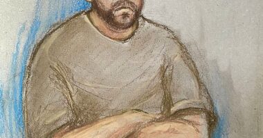 Samuel Dodsworth, 43, pleaded not guilty to the charge of murder. He is pictured in an artist's sketch from a court appearance last month