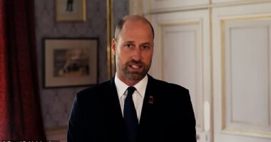 Prince William released a video with the Royal British Legion urging people to reflect on Armistice Day from inside a lavishly decorated room believed to be in his new home, Forest Lodge