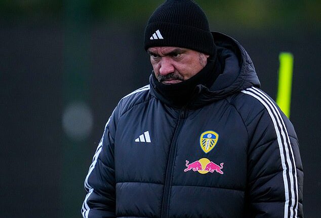 Leeds' next five fixtures could determine whether Daniel Farke has a future at the club