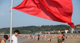 Investors take notice: Red flags are going up across the stock market.