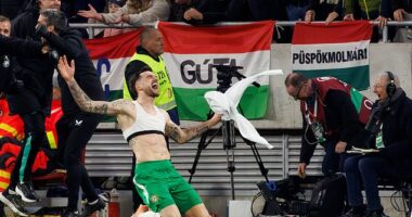 Troy Parrott was the hero for Ireland once again today, scoring a hat-trick to secure his country a World Cup play-off place