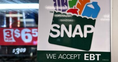 Is SNAP the USAID of Domestic Programs? – HotAir