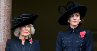 “It Gets Worse And Worse”: Kate Middleton And Queen Camilla Reportedly Influenced Andrew’s Removal Decision