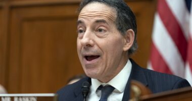 Jamie Raskin Gives Shameful Defense of Democratic Colleague's Collusion With Epstein – RedState