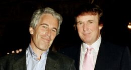 White House Shares Statement After House Democrats Release Jeffrey Epstein Emails Mentioning Donald Trump