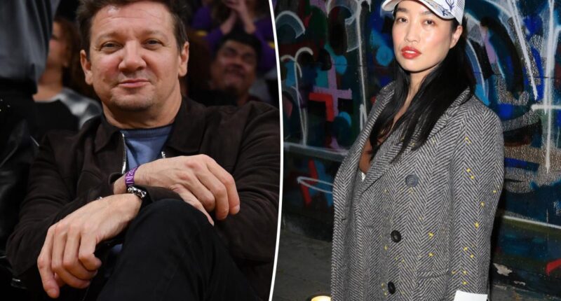 Jeremy Renner denies Yi Zhou claims they reached 'peaceful' agreement
