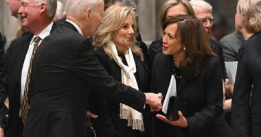 Jill Biden (center) was captured pursing her lips as her husband (left) greeted his former VP Kamala Harris, their first reunion since Harris's tell-all was released in September