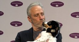 Jon Stewart's Daily Show Renewed For 2026: A Win For Late-Night