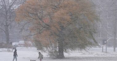 A couple walks their dog in Chicago, Illinois, on November 29, as snow blankets the city