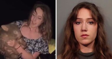 “Karma Train Has Just Pulled In”: Influencer Who Snatched Baby Wombat On Camera Gets Arrested