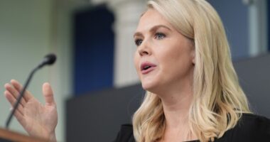 Karoline Leavitt Drops Mic on Dems Calling on Troops to Defy Orders – RedState