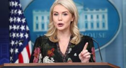 White House Press Secretary Karoline Leavitt resurrected a quote from an anonymous Democratic staffer who said 'short of planes falling out of the sky' the party would not agree to reopen the government