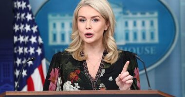 White House Press Secretary Karoline Leavitt resurrected a quote from an anonymous Democratic staffer who said 'short of planes falling out of the sky' the party would not agree to reopen the government