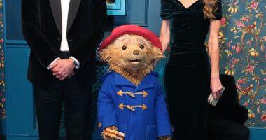 Prince William and Princess Kate were particularly taken with Paddington tonight at the Royal Variety Performance at the Royal Albert Hall