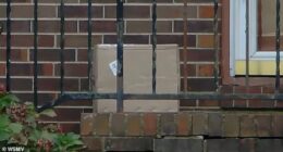 A shipping mishap sent two arms and four fingers on ice to a woman in Kentucky by mistake