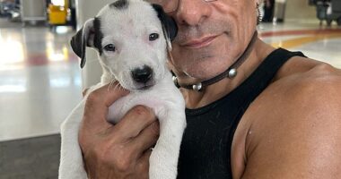 Sigfredo Ceja Alvarez, the neighbor accused of fatally shooting King of the Hill voice actor Jonathan Joss (pictured), was indicted on a murder charge on Monday, Bexar County, Texas court records confirm