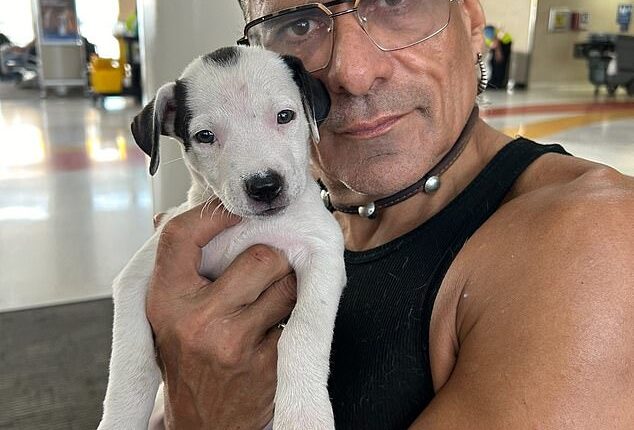 Sigfredo Ceja Alvarez, the neighbor accused of fatally shooting King of the Hill voice actor Jonathan Joss (pictured), was indicted on a murder charge on Monday, Bexar County, Texas court records confirm