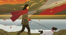 I have a friend who has asked me to rehome his springer spaniel, Alice. I told him I need to wait until I no longer have Mini, but then it feels like I’m counting down the days. Alice is really sweet. And so tomorrow I’m taking her on a trial walk, along the river by my house, writes Liz Jones