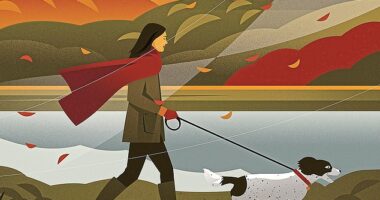 I have a friend who has asked me to rehome his springer spaniel, Alice. I told him I need to wait until I no longer have Mini, but then it feels like I’m counting down the days. Alice is really sweet. And so tomorrow I’m taking her on a trial walk, along the river by my house, writes Liz Jones