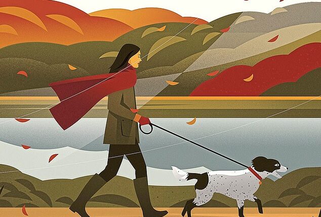 I have a friend who has asked me to rehome his springer spaniel, Alice. I told him I need to wait until I no longer have Mini, but then it feels like I’m counting down the days. Alice is really sweet. And so tomorrow I’m taking her on a trial walk, along the river by my house, writes Liz Jones