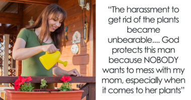 Lady Gifts Neighbor A Charming View Of Pure Concrete After He Demands She Cut Her Plant Wall