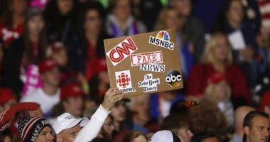 Leavitt Highlights Media's Skewed Coverage of GOP During Schumer Shutdown – RedState