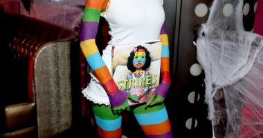 Leni Klum was covered in multicoloured stripes as she transformed into an American storybook character for her mum Heidi's legendary Halloween bash in New York on Friday