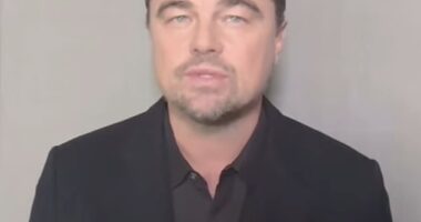 Leonardo DiCaprio, 50, is continuing his yearslong environmental efforts, this time ahead of the COP30 global climate summit in Brazil