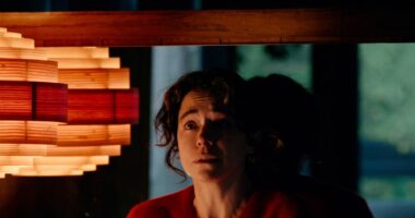 Liz's Fate And Malcolm's Secret, Explained