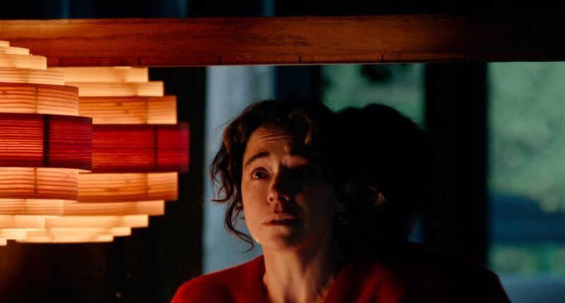 Liz's Fate And Malcolm's Secret, Explained