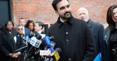 Zohran Mamdani has backed a controversial choice for his replacement in the New York State Assembly who once said 'white supremacy' was to blame for the attacks on September 11, 2001