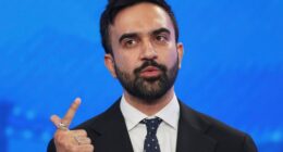 Mamdani's Reaction When Asked About Schumer's Political Future Won't Make the Senator Happy – RedState