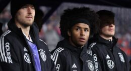 Manchester United target Karim Adeyemi has been fined nearly £400,000 for possession of illegal weapons