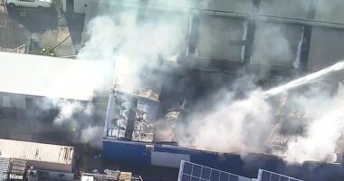 Massive factory inferno erupts in Brookvale on Sydney's Northern Beaches - as fire crews battle to contain the blaze