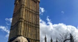 Meet Mr. Pug, The Traveling Toy Dog Exploring The World