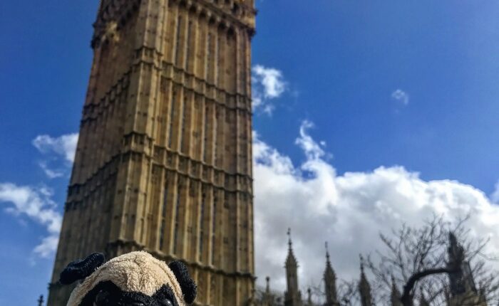 Meet Mr. Pug, The Traveling Toy Dog Exploring The World