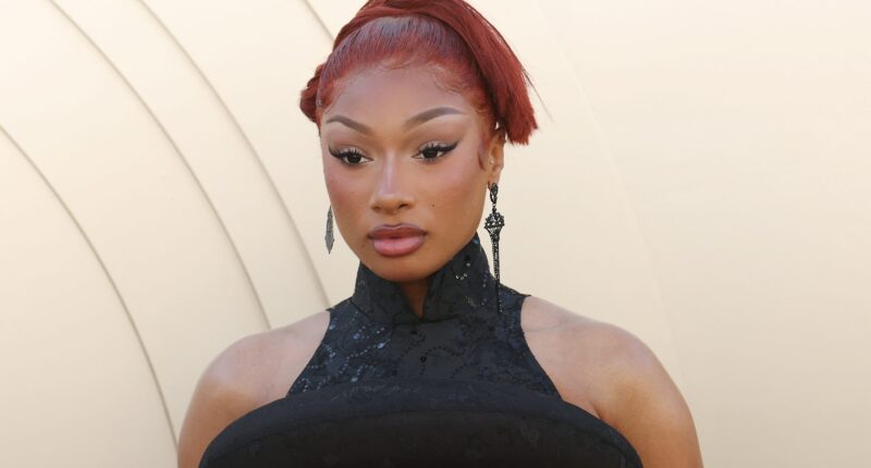 Megan Thee Stallion Gets Emotional In Defamation Trial Against Milagro Gramz: Says She "Didn't Want To Live Anymore"
