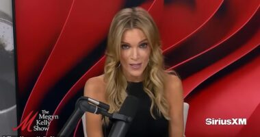 Megyn Kelly angered listeners after claiming an unnamed source told her that dead pedophile Jeffrey Epstein was into the 'barely legal' type