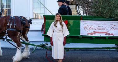 Melania Trump looked effortlessly chic as she stepped out to receive this year's White House Christmas tree